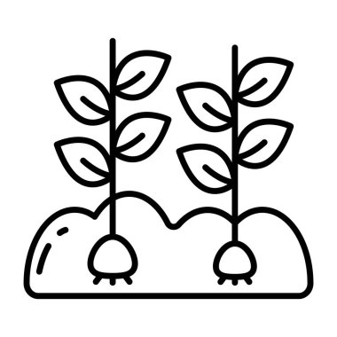 Vector design of growing plant, sprout icon 