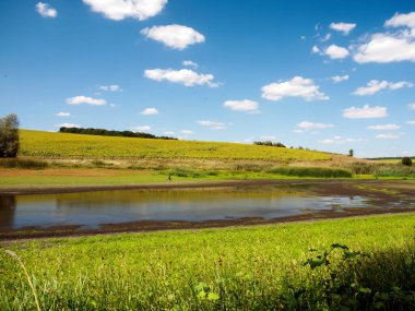 Köy manzarası. Kavram. Kuraklık. Bir kuş sürüsü kuruyan bir gölün üzerinde uçar. Kar beyazı bulutlar bulutlar halinde toplanır. Ancak göl artık eskisi gibi doldurulamaz. Kuraklık hayvan göçünde güçlü bir faktördür..