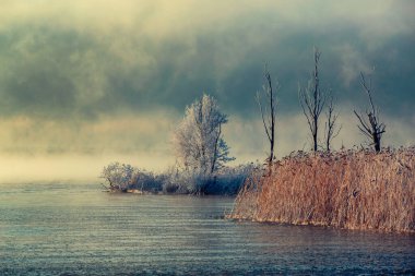 Göl manzarası, karla kaplı ağaçlar ve dramatik gökyüzü. Yeni bir günün kışın sabahı. Kırsal duvar kağıdı.