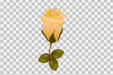 Vector yellow rose realistic transparent set with red flowers isolated