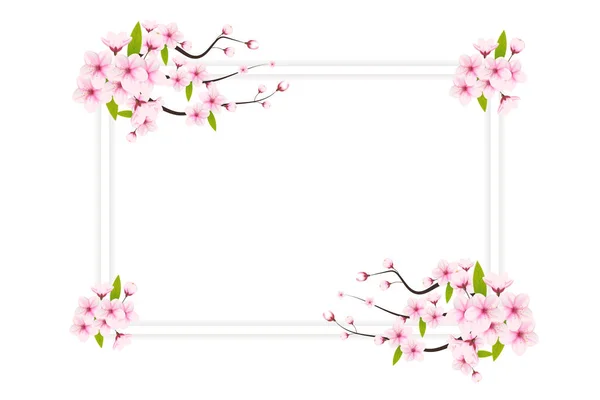 Ілюстрація Квітів Вишневого Цвіту Пелюсток Вектор Вишневого Цвіту Рожевий Квітковий — стоковий вектор