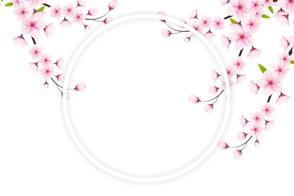 Kirschblüten Blumen Und Blütenblätter Illustration Kirschblüten Vektor Rosa Sakura Blume — Stockvektor