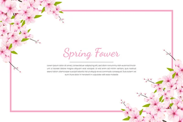 桜の花と桜の背景 桜の花ベクトル 桜の花ベクトル ピンクの桜の花の背景 白地の桜 — ストックベクタ