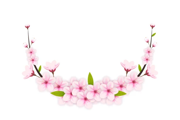 Kiraz çiçekli arka plan, sakura çiçekli. Suluboya kiraz çiçeği vektörü. Çiçek açan kiraz çiçeği vektörü. Pembe sakura çiçeği arkaplanı. Beyaz arkaplanda Sakura