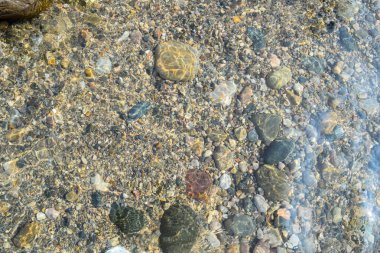 Parlak güneş ışığı altında, bir nehir yatağı berrak suyun altında parlayan çeşitli pürüzsüz çakıl taşları ve taşlarla görülebilir, sakin bir doğal atmosfer yaratır..