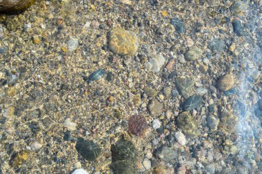 Güneş ışığı, temiz suyun içinden süzülerek nehir yatağındaki çeşitli pürüzsüz taş ve çakıl taşlarını vurgular. Huzurlu ve resimsel bir ortam yaratır..