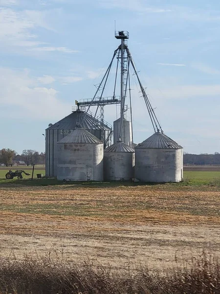 Güzel tavan, cam çiçekler