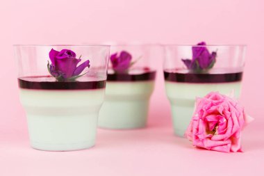 İtalyan tatlı panna cotta böğürtlen soslu, çiçekler ve güller pembe arka planda cam bardaklarda