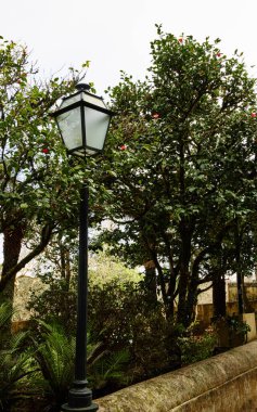 Bahçedeki ya da parktaki eski bir sokak lambası.