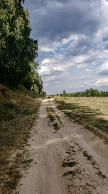 Yazın bulutlu bir gökyüzünün altında bir orman ve açık arazi arasında uzanan manzaralı toprak yol. Huzurlu kırsal manzara doğa, seyahat, açık hava ve manzara temalı tasarım projeleri için mükemmeldir..