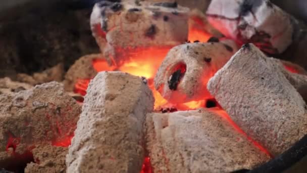 Houtskool Branden Vlammen Wit Gekleurde Barbecue — Stockvideo