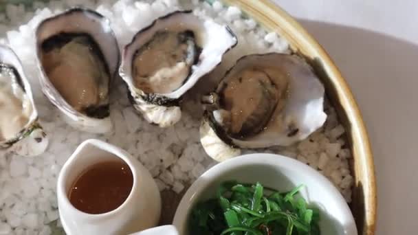 Oysters Plate — Stock Video