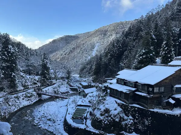 Japonya 'nın Jigokudani Maymun Parkı' ndaki vadi manzarası.