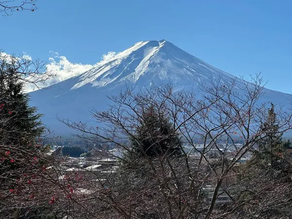 Arakurayama Sengen Parkı 'ndan Fuji Dağı