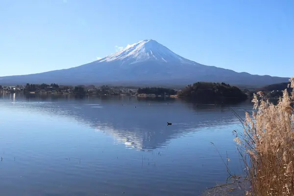 Japonya 'daki Oshini Park' tan Fuji Dağı 'nın yansıması gölde.