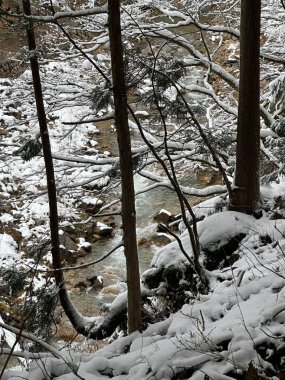Japonya 'daki Jigokudani Maymun Parkı' nda karlı ağaçların arasından akan ve derin karlarla çevrili bir nehir.