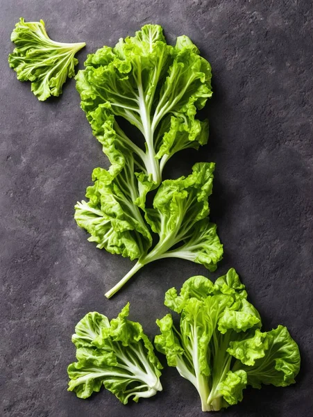 fresh green kale leaves on black stone background. top view.