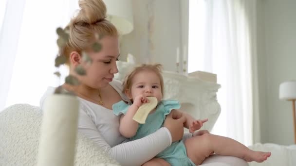 Madre Peinando Pelo Bebé Atar Colas Caballo Hija Mamá Disfrutando — Vídeos de Stock