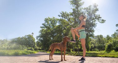 Caucasian middle-aged woman doing workout exercise together with pet dog in public park in sunny summer morning. Warm up before running jogging training. Active healthy lifestyle. Copy space banner