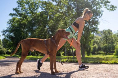 Caucasian middle-aged woman doing workout exercise together with pet dog in public park in sunny summer morning. Warm up before running jogging training. Active healthy lifestyle. Copy space banner