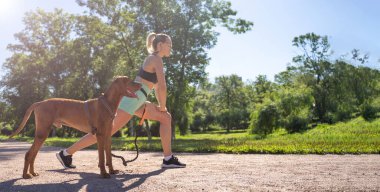 Caucasian middle-aged woman doing workout exercise together with pet dog in public park in sunny summer morning. Warm up before running jogging training. Active healthy lifestyle. Copy space banner