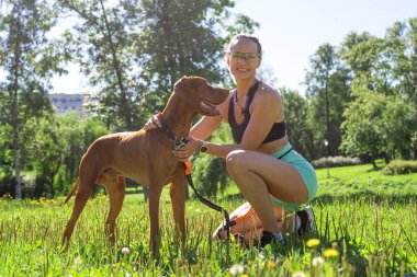 Caucasian middle-aged woman doing workout exercise together with pet dog in public park in sunny summer morning. Warm up before running jogging training. Active healthy lifestyle.