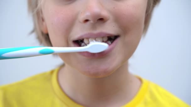 Close Teenager Boy Brush Teeth Child Looking Camera Dentistry Stomatology — Wideo stockowe