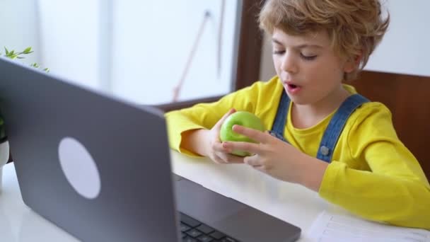 Cute Schoolboy Child Eating Apple While Using Laptop Online Educational — Vídeo de stock