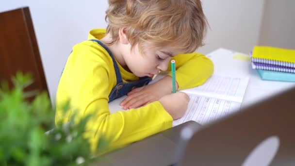Schoolboy Gyermek Írni Gyakorlat Ábécé Segítségével Laptop Online Oktatási Lecke — Stock videók