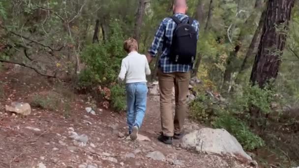 バックパック付きの父と子供の男の子の女の子は 家族のハイキング中に山の中の森を歩く — ストック動画