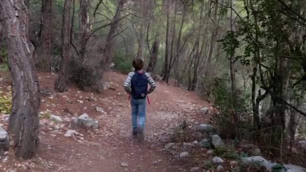 バックパック付きの10代の少年は 家族のハイキング中に山の中の森を歩く — ストック動画