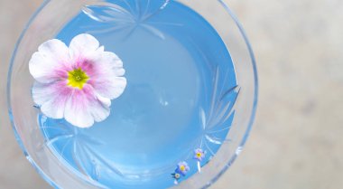 Bardağın üstünde mavi bir kokteyl ve narin bir çiçek. Seçici yumuşak odaklanma. Boşluğu kopyala, tasarım reklamı için negatif boşluk