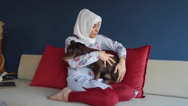阿拉伯穆斯林Hijab女人抚摸她最喜欢的动物生病的宠物狗与宠物 兽医及健康动物的友谊概念 — 图库视频影像