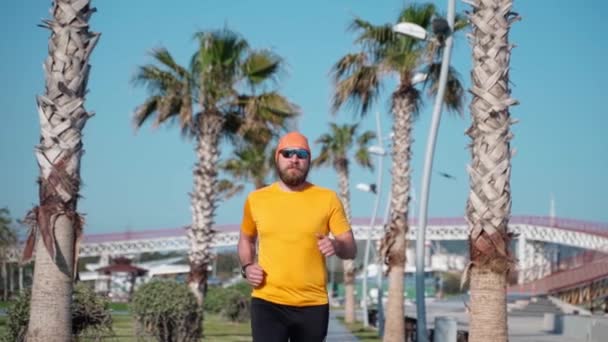Товстий Чоловік Робить Біг Тренування Сонячного Ранку Межами Вулиці Міський — стокове відео