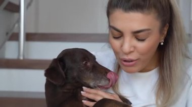 Arap kadın evdeki merdivenlerde oturan favori evcil köpeği Dachshund Breed 'i kucaklıyor. Hayvan Bakımı, Veteriner Sağlık ve Hayvanlarla Arkadaşlık kavramı. Boşluğu Kopyala