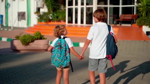 带着背包走路上学的学生 回学校去小学中产阶级的教育 愉快地牵着手微笑着 后视镜 — 图库视频影像