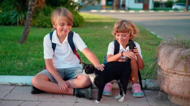 Okul Öğrencileri Ders Aralarında Kedileriyle Bahçede Oynayan Sırt Çantalı Çocuklar — Stok video