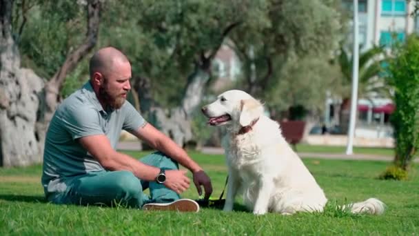 Man Sällskapsdjur Ägare Leker Med Sin Glada Sällskapsdjur Hund Golden — Stockvideo