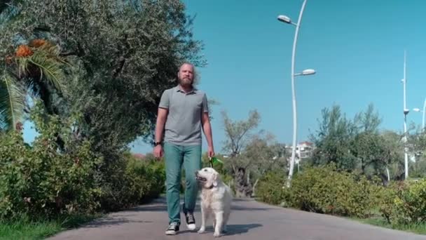 彼の幸せなペット犬と歩く男 ゴールデンレトリーバー 夏の間に通りで外に — ストック動画