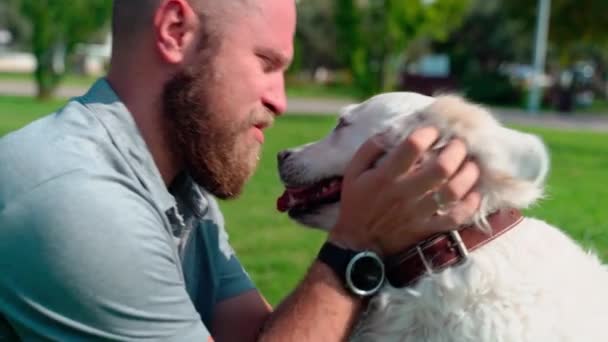 Άνθρωπος Κατοικίδιο Ζώο Ιδιοκτήτης Παίζει Ευτυχισμένη Κατοικίδιο Ζώο Σκυλί Του — Αρχείο Βίντεο