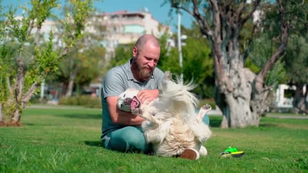 Man Pet Owner Plays His Happy Pet Dog Golden Retriever — Stock Video