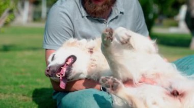 Evcil hayvan sahibi adam, yaz boyunca bahçe parkında köpeğiyle Golden Retriever oynuyor..