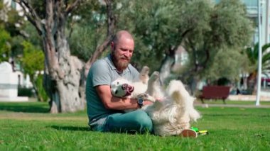 Evcil hayvan sahibi adam, yaz boyunca bahçe parkında köpeğiyle Golden Retriever oynuyor..