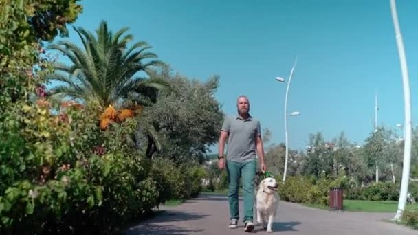Man Wandelen Met Zijn Gelukkige Hond Golden Retriever Buiten Straat — Stockvideo