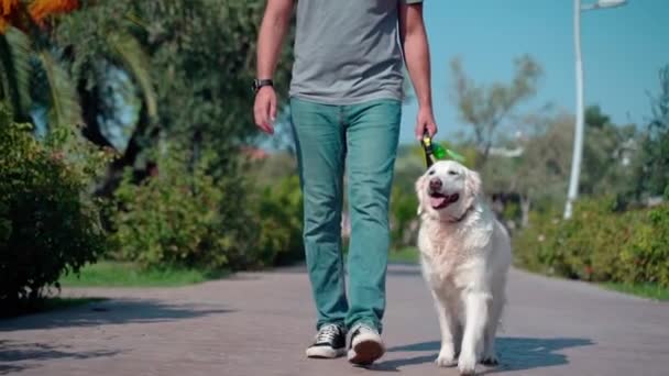 Muž Kráčí Svým Šťastným Mazlíček Pes Zlatý Retrívr Venku Ulici — Stock video