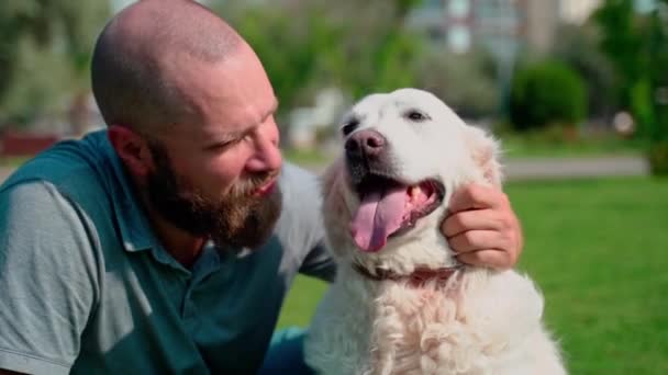 Hombre Propietario Mascotas Juega Con Perro Feliz Perro Oro Fuera — Vídeo de stock