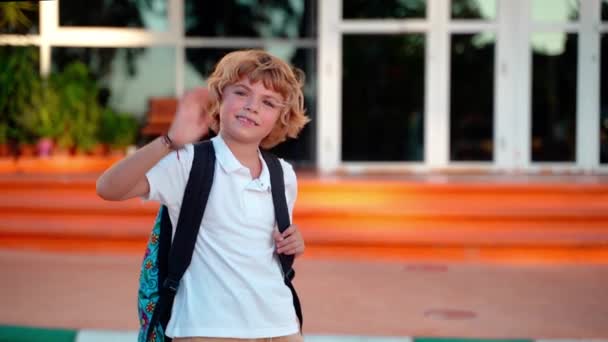 Portrét Školního Studentského Chlapečka Batohem Dívá Fotoaparát Usmívající Dvoře Během — Stock video