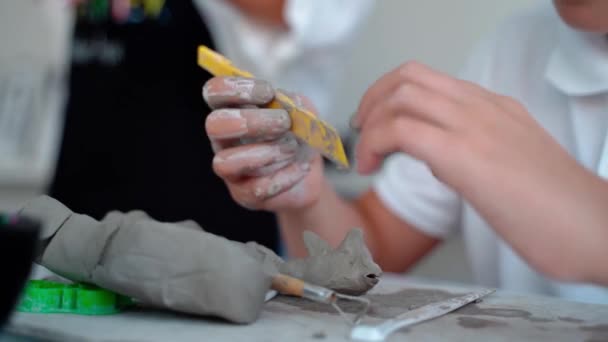 Sanat Okulundaki Genç Çocuk Sanat Sınıfındaki Clay Sculpt Ortaokul Çocuğu — Stok video
