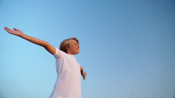 Niño Adolescente Relajado Respirando Aire Fresco Levantando Brazos Sobre Cielo — Vídeo de stock