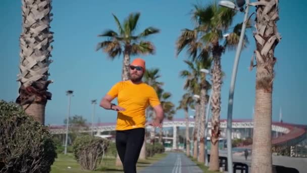 Bearded Man Sportswear Does Warm Muscles Joints Running Workout Sunny — Stock Video